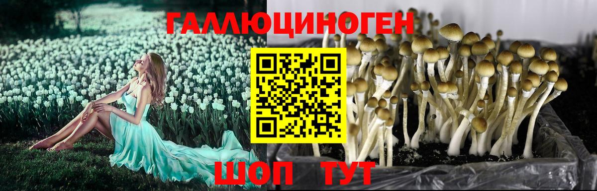 Псилоцибиновые грибы Magic Shrooms  Галлюциногенные грибы GOLDEN TEACHER  Вход с VPN  Мурманск 
