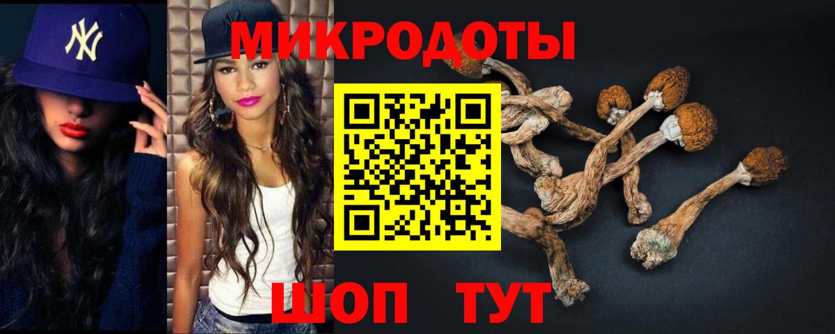 Псилоцибиновые грибы GOLDEN TEACHER Мурманск